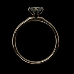 Ring 3d model