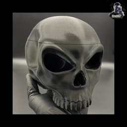 Skull Container Box 3d model