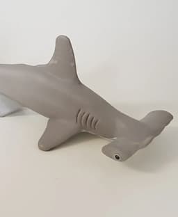 Hammerhead Shark 3d model