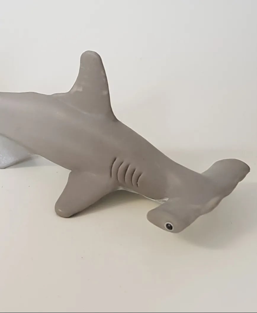Hammerhead Shark 3d model