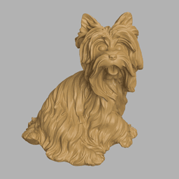 Yorkshire give paw 3d model