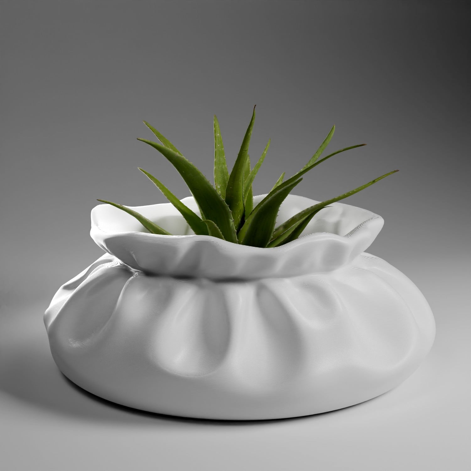 Pouch Planter 2 wider 3d model