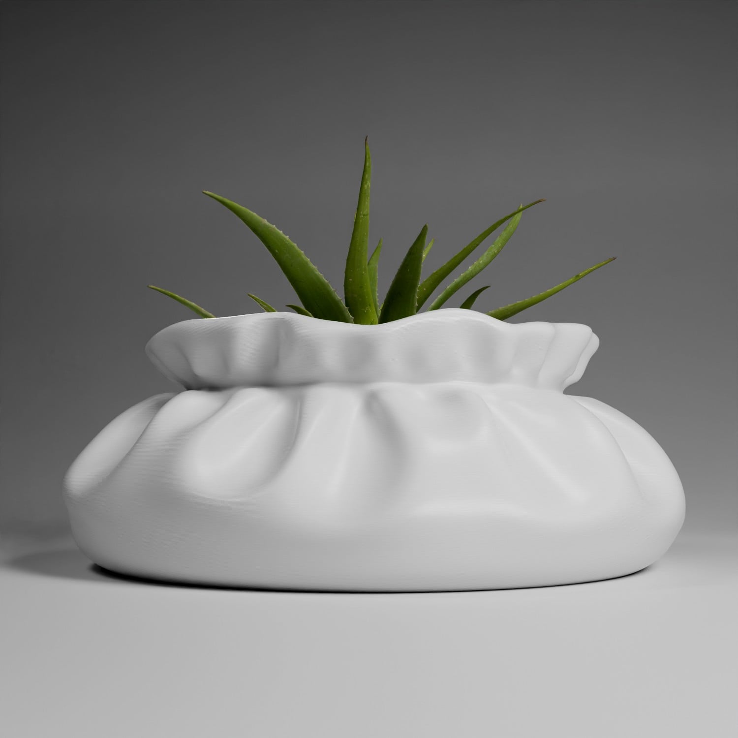 Pouch Planter 2 wider 3d model