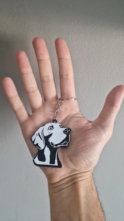 Braco de weimar keychain 3d model