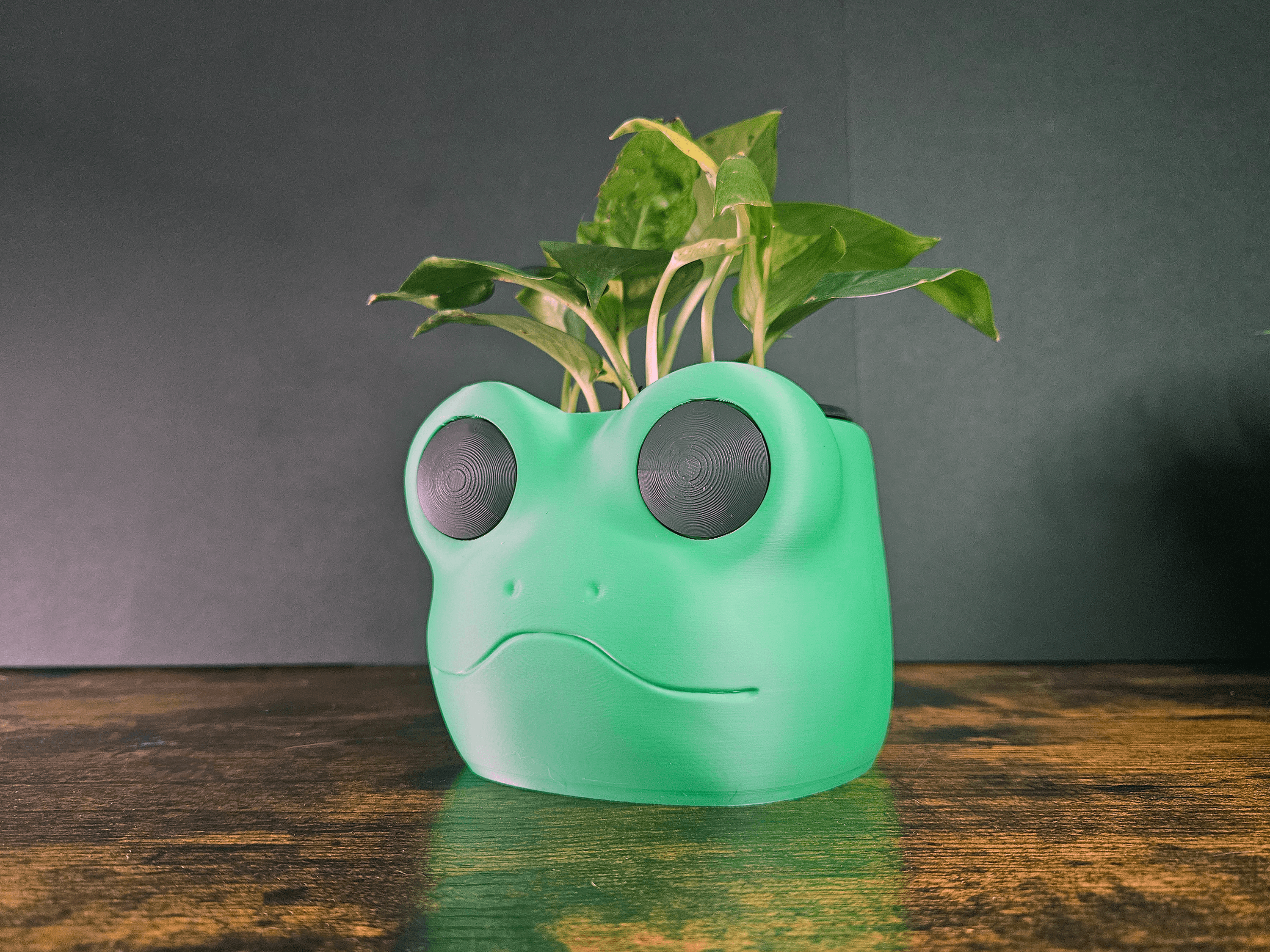 Froggy Planter Pot 3d model