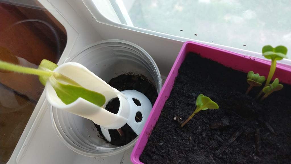 Plant support 3d model