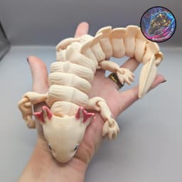 flexi axolotl 3d model