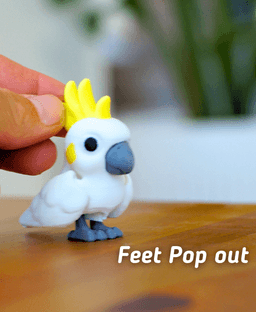 Chatty Cockatoo - Articulated fidget Cockatoo 3d model