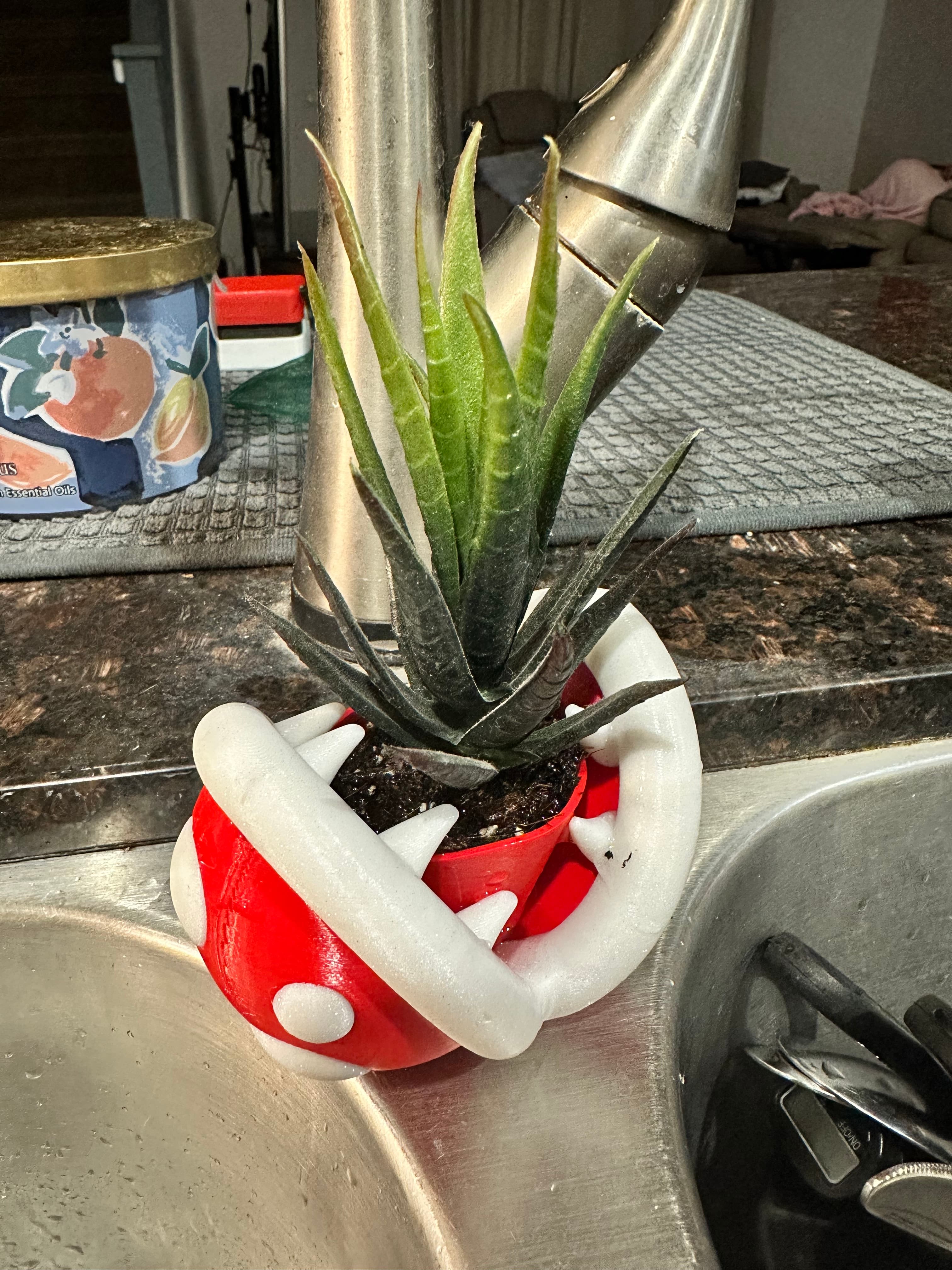 Mario Piranha Succulent or Plant Pot 3d model