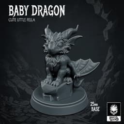 Baby Dragon (25mm Base) 3d model