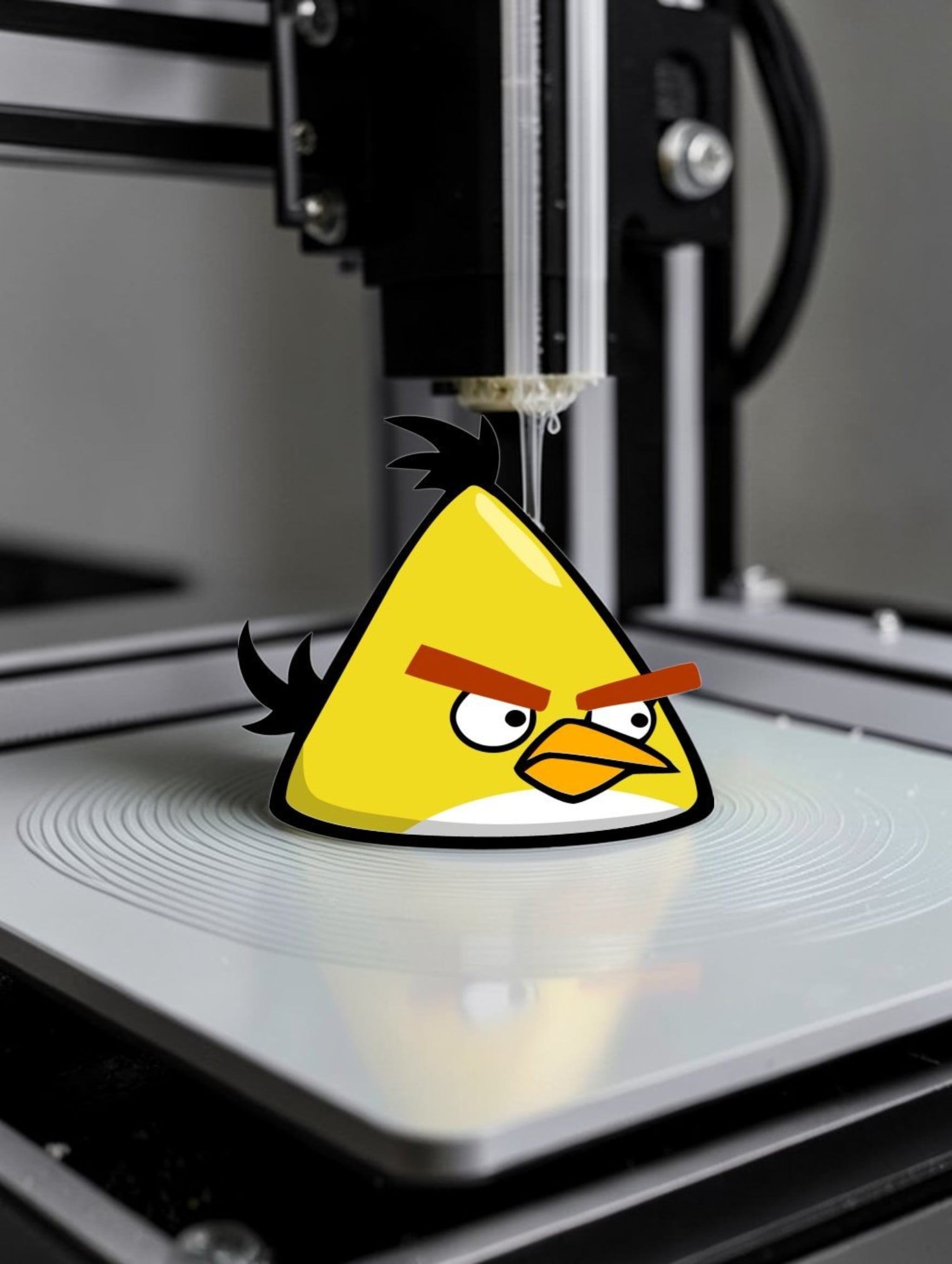 Chuck Angry Bird 3d model