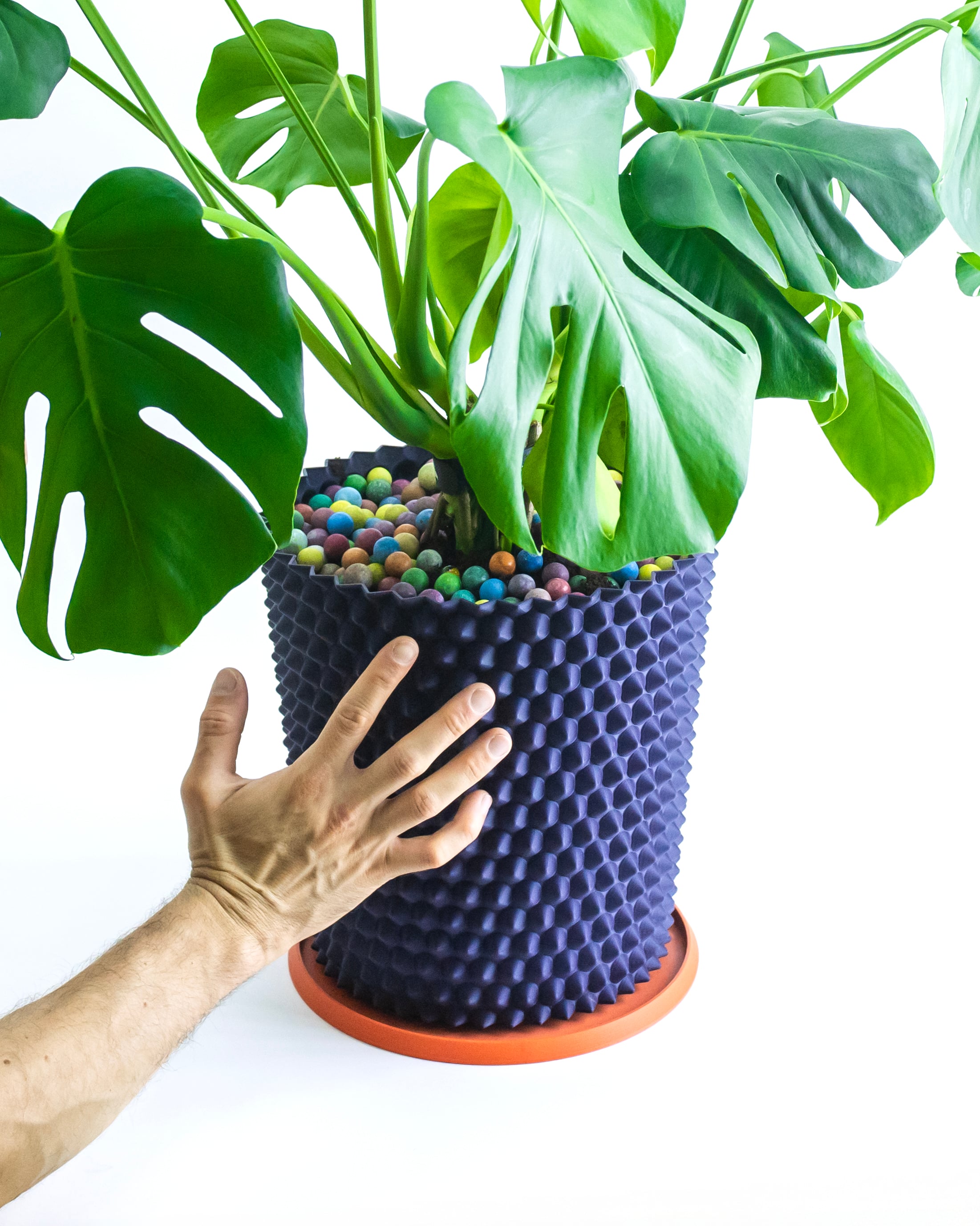 SPATHI Planter // Plant Pot or Bin 3d model
