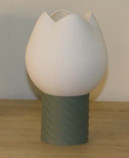 Abat-Jour Tulipe Éclatante 3d model