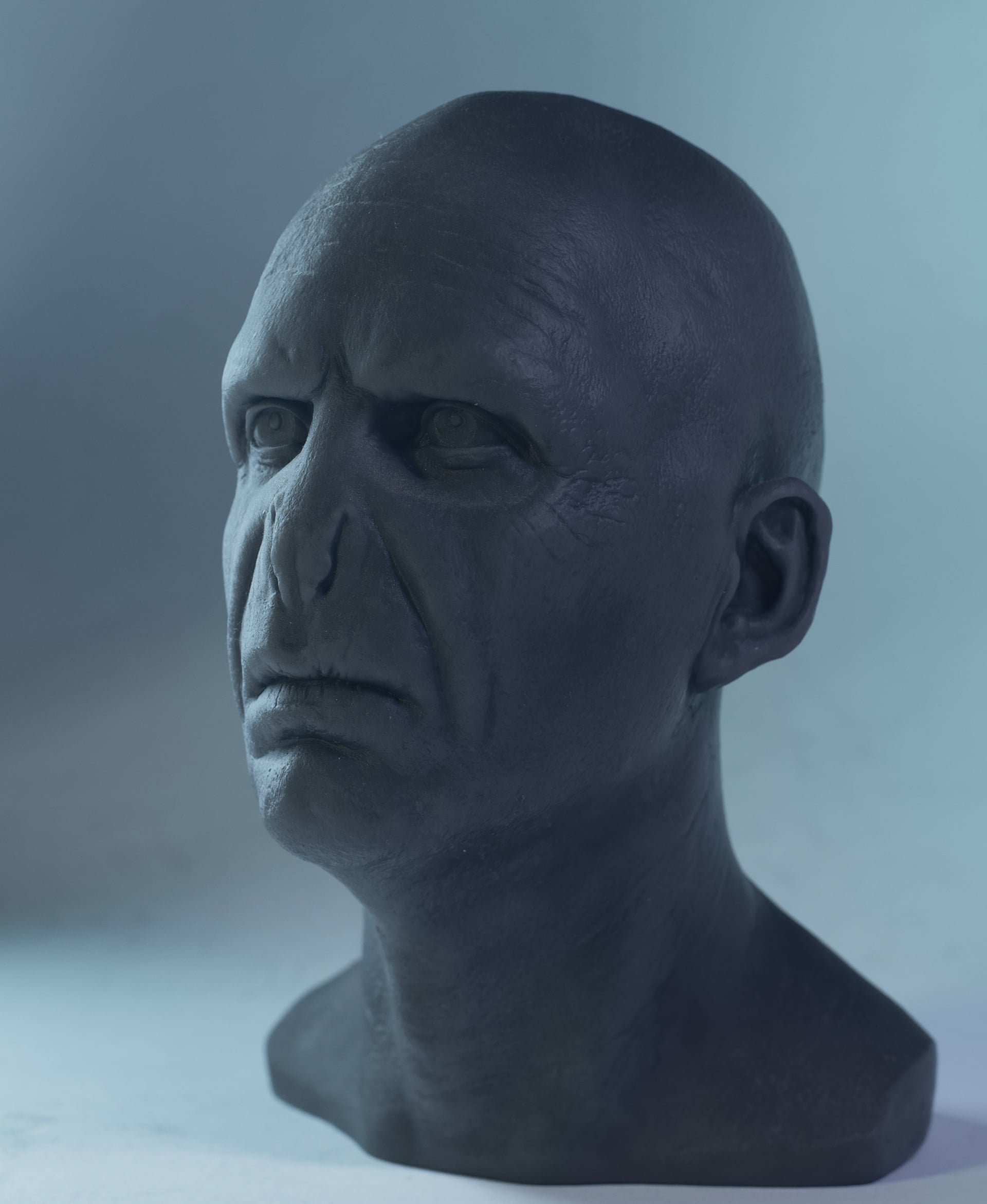 Voldemort FanArt 3d model