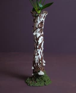 Tree trunk vase “Betula Pendula” 3d model