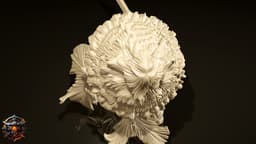 Ren Takemold of the Mycōjin 3d model