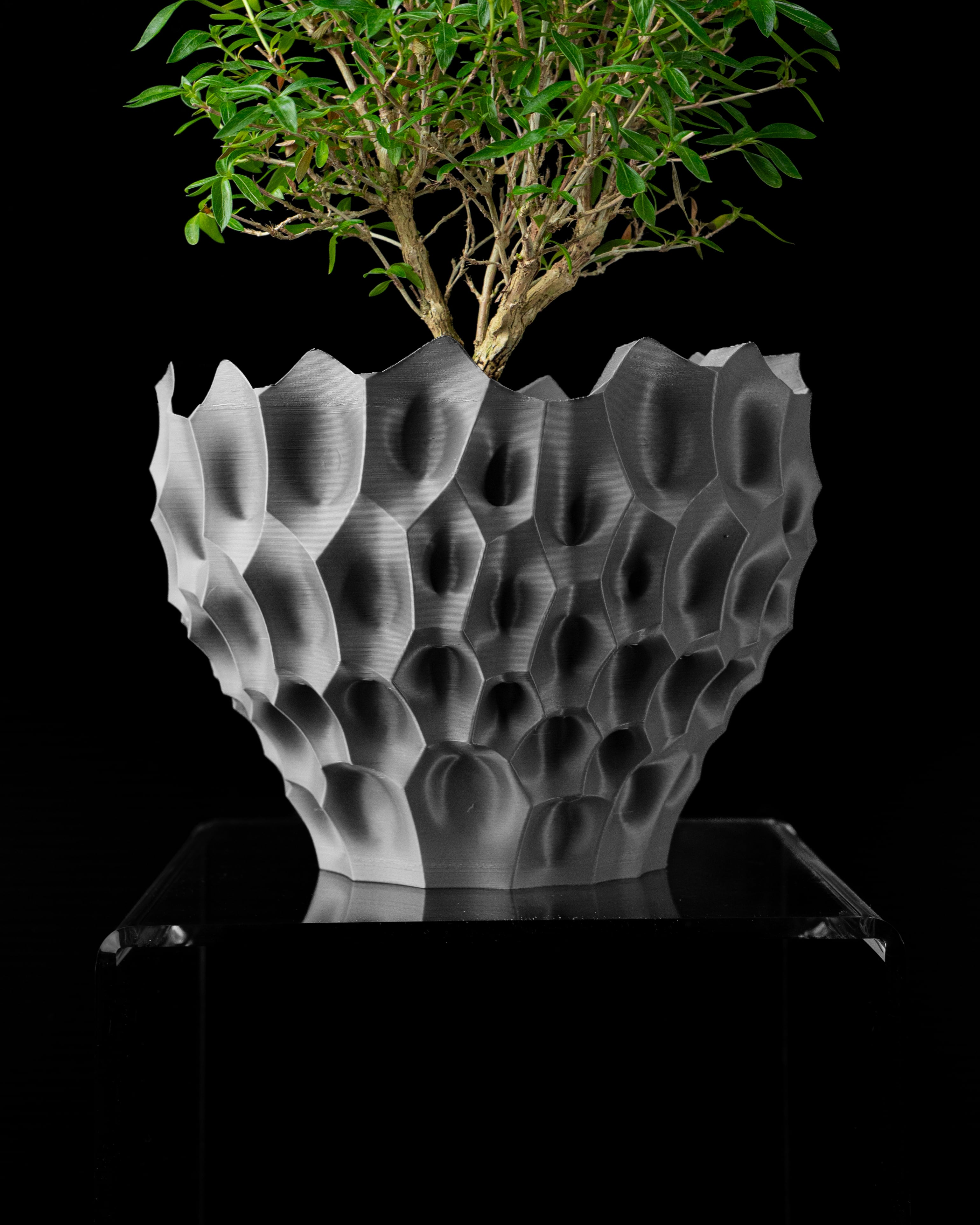 Bane Planter Pot by MODERN MACHINE 3d model