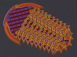 Trilobite Flexiphacops rana 3d model