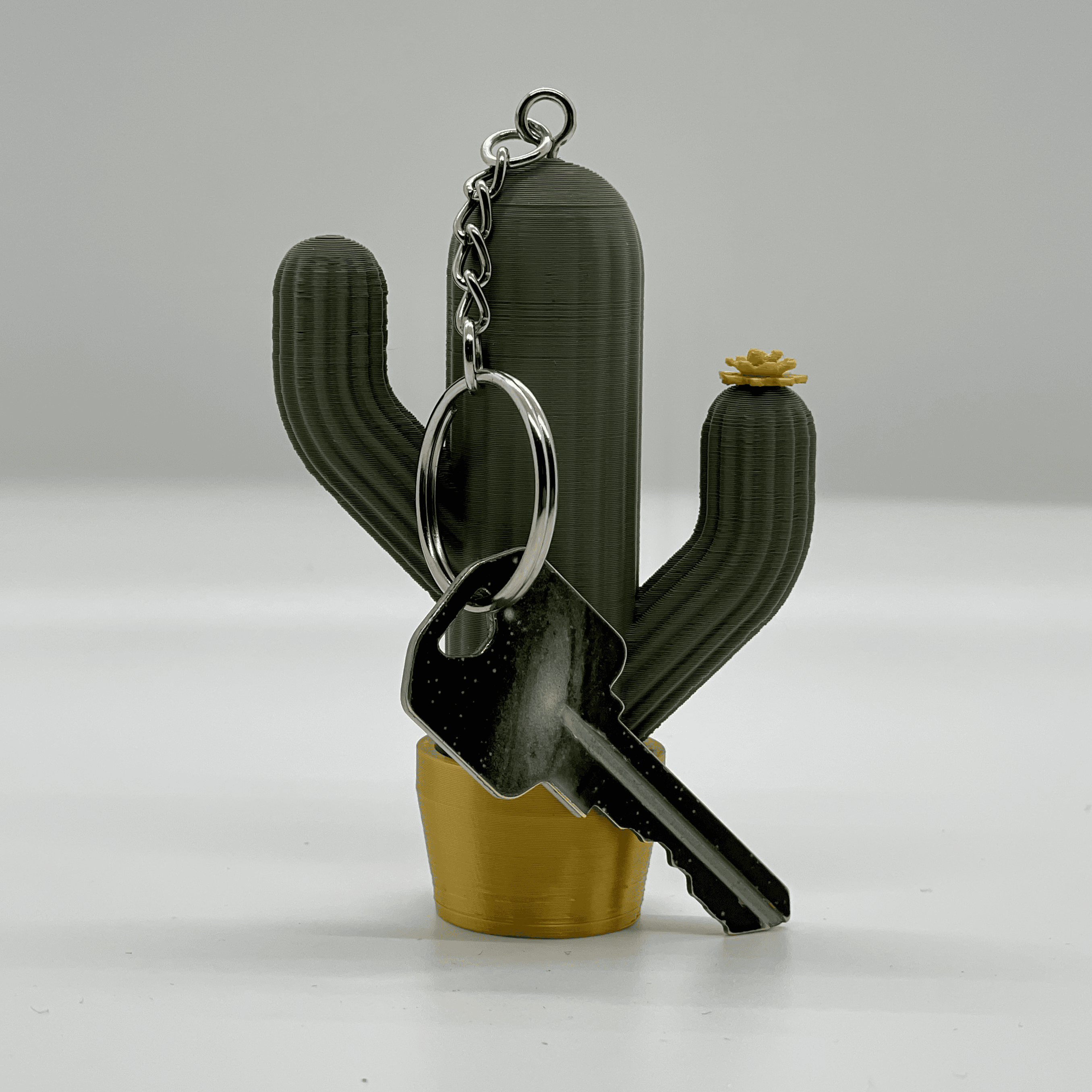 Cactus Canister Keychain 3d model