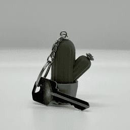 Cactus Canister Keychain 3d model