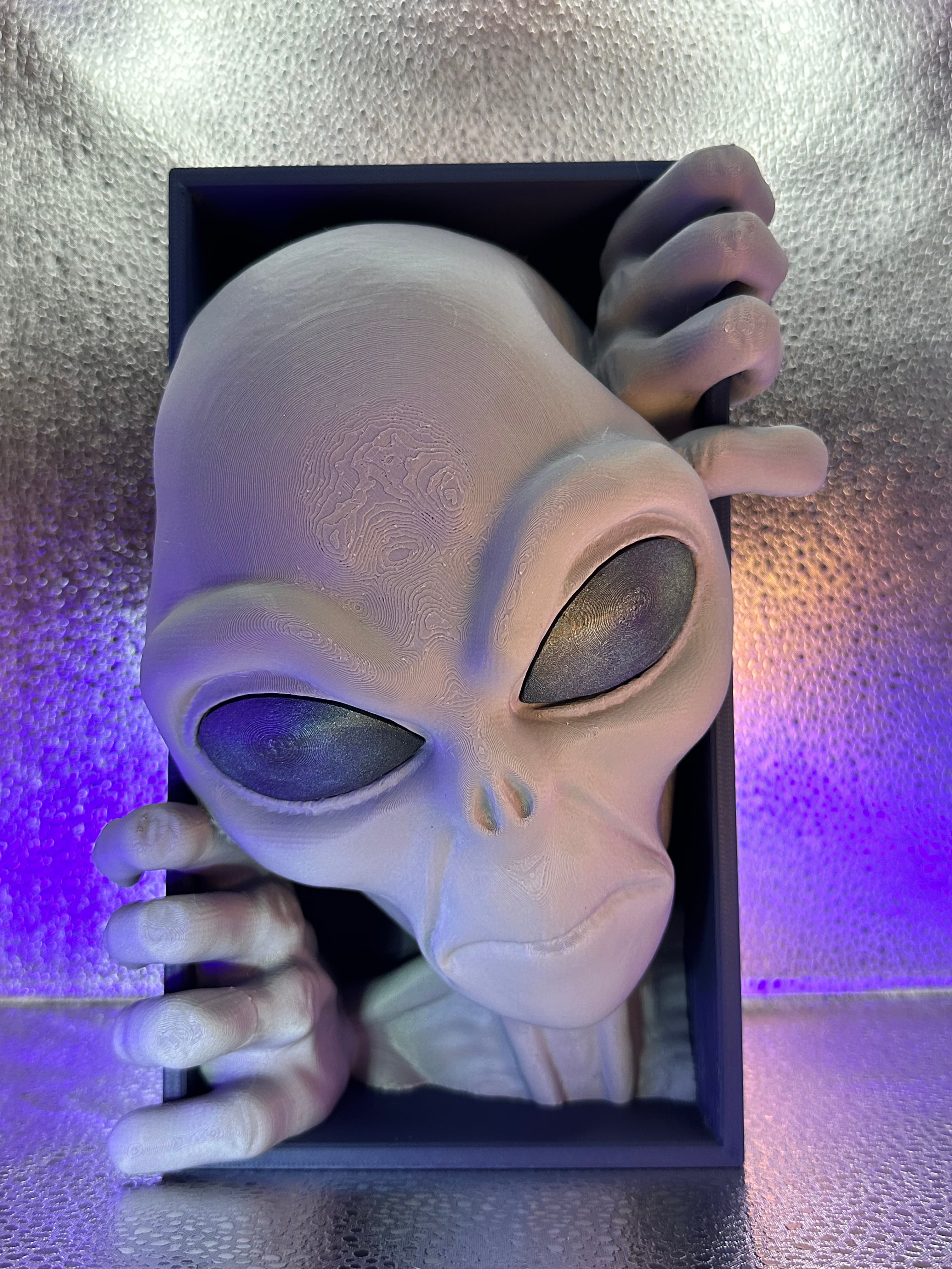 FDM Printed chameleon paint used on eyes