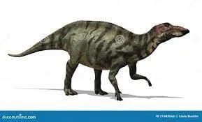 shuangmiaosaurus 3d model