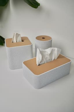 TISTWO -Magnetic Tissue box and Tabletop bin 3d model