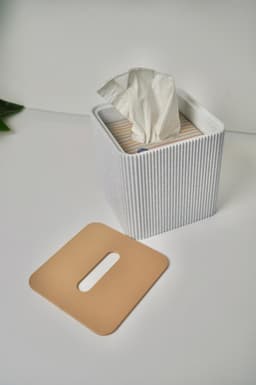 TISTWO -Magnetic Tissue box and Tabletop bin 3d model