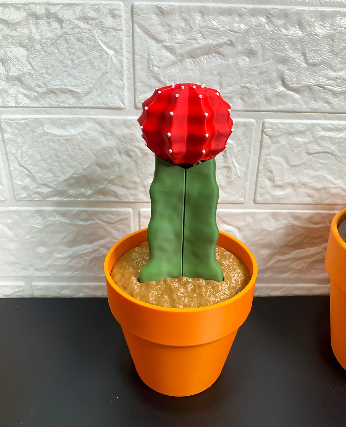 i love this little plant:)