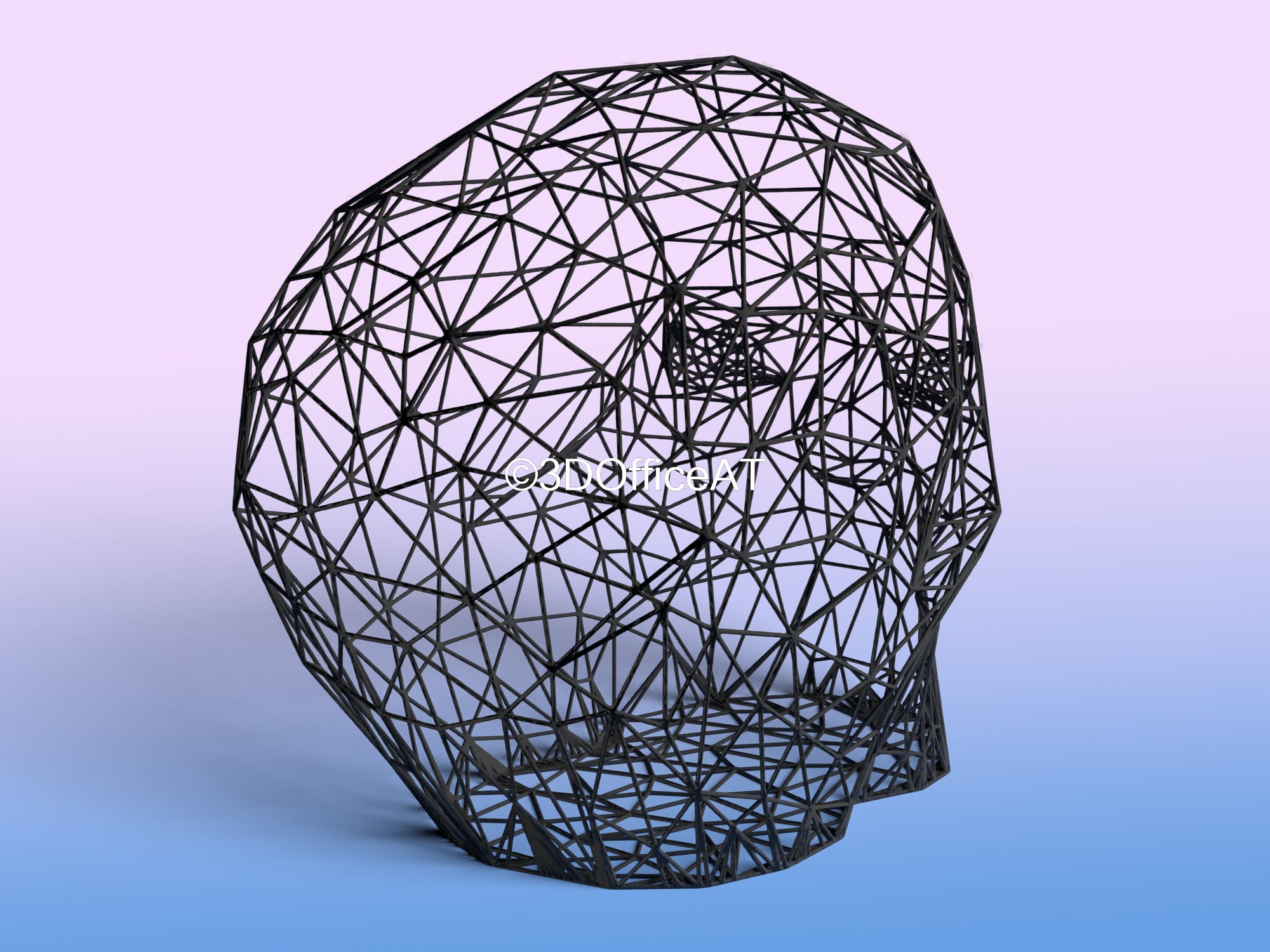 Skull Head Wire Art 3d model