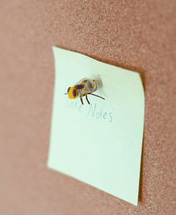 Office Bugs | Bee Tack, Leaf Bug Bookmark, Stick Bug Pen, Lady Bug Magnet 3d model
