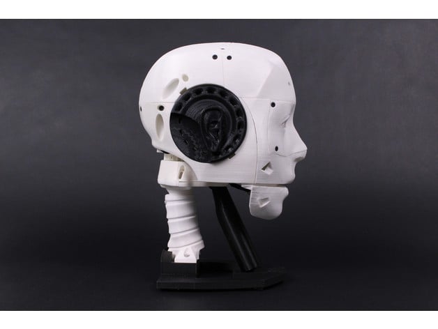 EZ-inMoov Robot Head 3d model