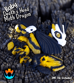 Baby Death's head Moth Dragon 3d model