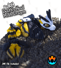 Baby Death's head Moth Dragon 3d model