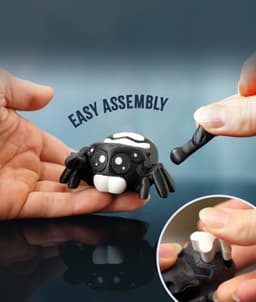Charlotte the Jumping Spider 3d model