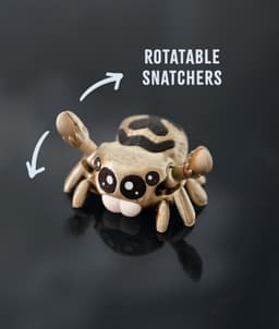 Charlotte the Jumping Spider 3d model