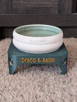 I really liked this stand so I modified it to be solid on top to hold my cat's water dish! 3d model
