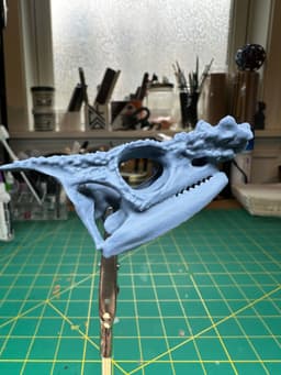 Parsons Chameleon Skull 3d model