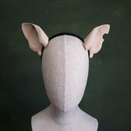 Rat Ears - Pointed 3d model