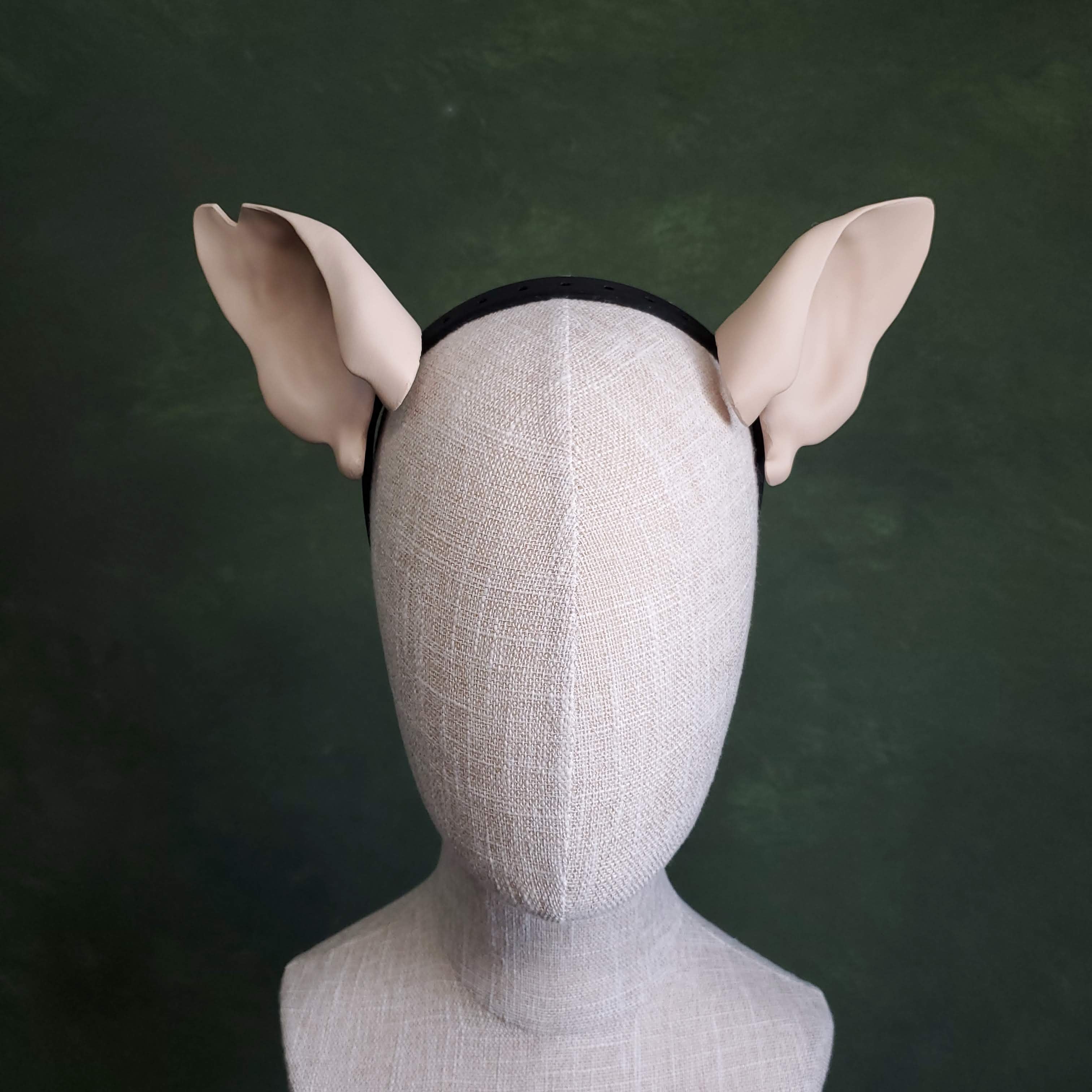 Rat Ears - Pointed 3d model
