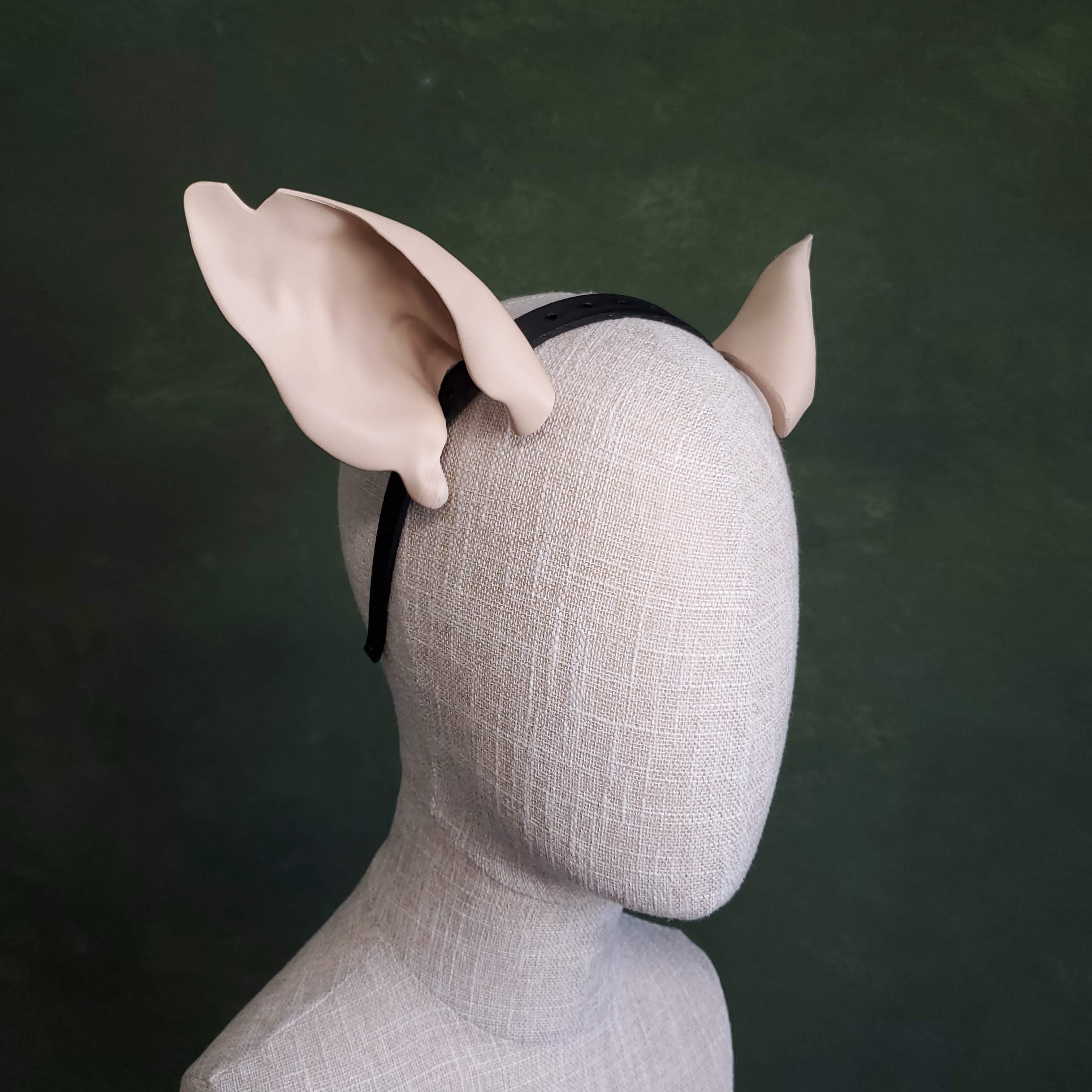 Rat Ears - Pointed 3d model