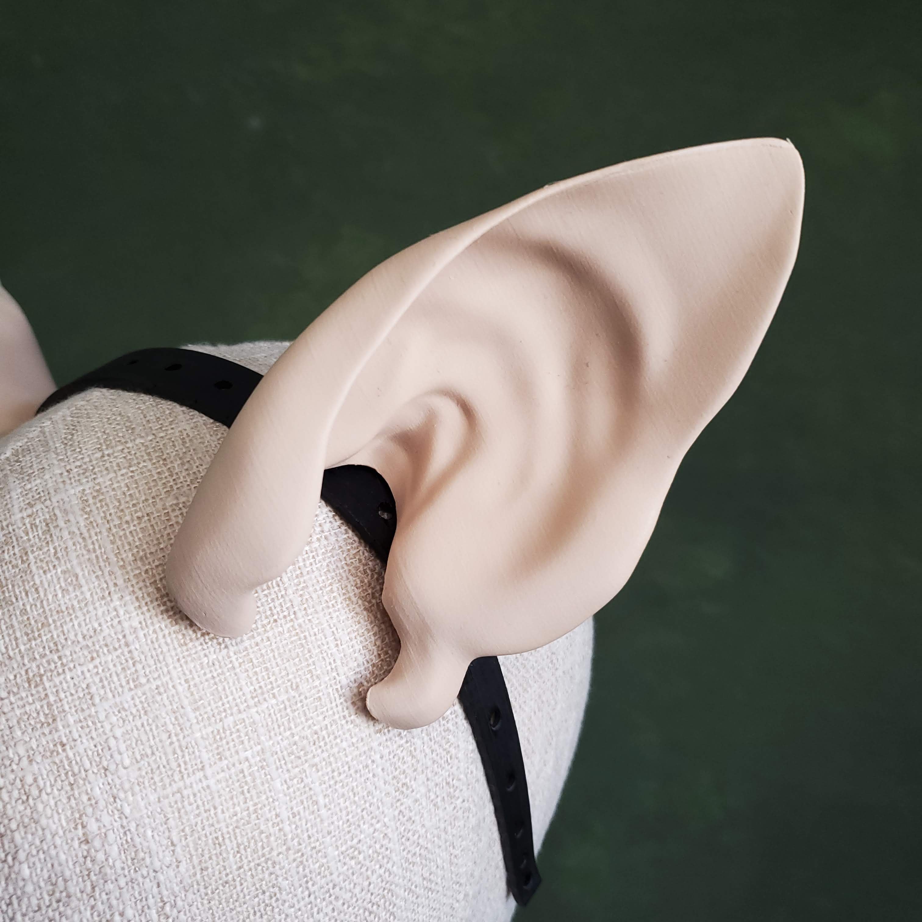 Rat Ears - Pointed 3d model