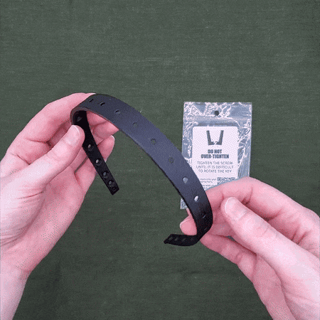Headband of Disguise 3d model