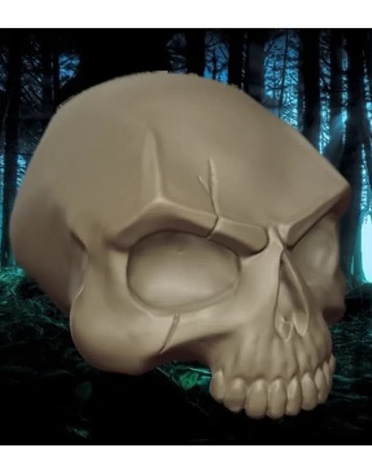 Skull_scar 3d model