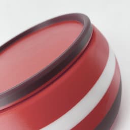 LR96-D Lid or Cover for Infinite Containers 96 Series 3d model