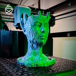Sacred Tree 3d model