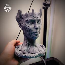 Sacred Tree 3d model