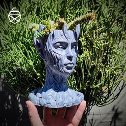 Sacred Tree 3d model