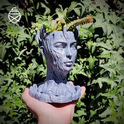Sacred Tree 3d model