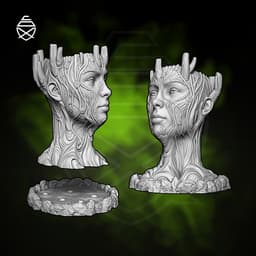 Sacred Tree 3d model